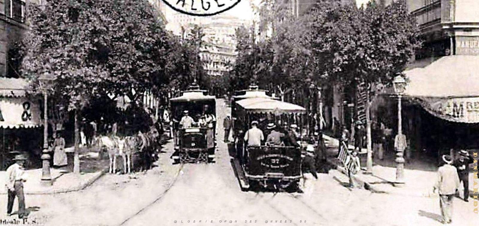 2243- Alger - Rue d'Isly2 - 1905.jpg